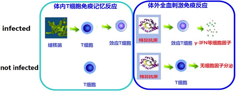 鍥劇墖8.jpg